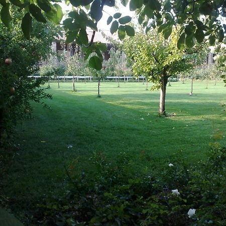 Relais Corte Guastalla Apartments Сона Екстер'єр фото